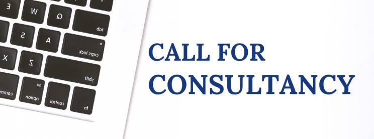 Consultancy for Policy Analysis